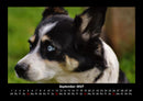 Der Tierkalender Fotokalender 2027 - 9