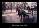 Die Welt der Pferde Fotokalender 2027 - Hauptbild