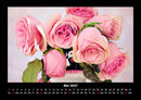 Rosen-Kalender Fotokalender 2027 - 5