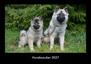 Hundezauber Fotokalender 2027 - Hauptbild