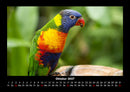 Vogelparadies Fotokalender 2027 - 10