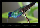 Vogelparadies Fotokalender 2027 - 1