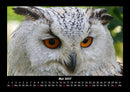 Vogelparadies Fotokalender 2027 - 5