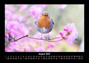 Vogelparadies Fotokalender 2027 - 8
