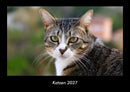 Katzen Fotokalender 2027 - Hauptbild