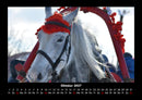 Pferdegeflüster Fotokalender 2027 - 10