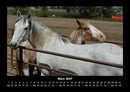Pferdegeflüster Fotokalender 2027 - 3