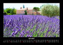 Blumenträume Fotokalender 2027 - 7