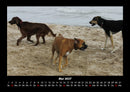 Strände der Welt Fotokalender 2027 - 5