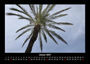 Palmentraum Fotokalender 2027 - 1