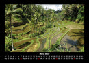 Palmentraum Fotokalender 2027 - 3