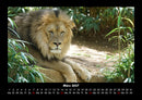 Tiere im Zoo Fotokalender 2027 - 3