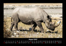 Tiere im Zoo Fotokalender 2027 - 8