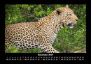 Tierkalender Fotokalender 2027 - 11