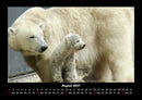 Tierkalender Fotokalender 2027 - 8