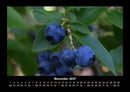 Obstkalender Fotokalender 2027 - 11