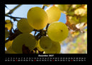 Obstkalender Fotokalender 2027 - 12