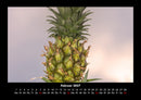 Obstkalender Fotokalender 2027 - 2