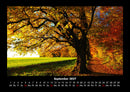 Bäume Fotokalender 2027 - 9