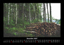 Bäume Fotokalender 2027 - 12