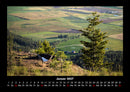Bäume Fotokalender 2027 - 1