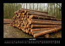 Bäume Fotokalender 2027 - 6