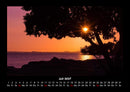 Bäume Fotokalender 2027 - 7