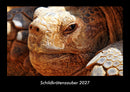 Schildkrötenzauber Fotokalender 2027 - Hauptbild