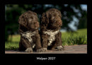 Welpen Fotokalender 2027 - Hauptbild