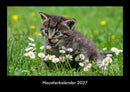 Haustierkalender Fotokalender 2027 - Hauptbild
