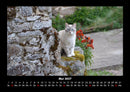 Haustierkalender Fotokalender 2027 - 5