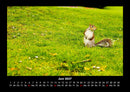 London - Impressionen Fotokalender 2027 - 6