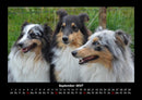 Hundezauber Fotokalender 2027 - 9