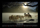 Hundezauber Fotokalender 2027 - 12