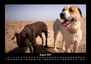 Hundezauber Fotokalender 2027 - 8