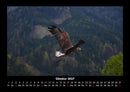 Adler Fotokalender 2027 - 10