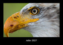 Adler Fotokalender 2027 - Hauptbild