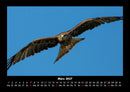 Adler Fotokalender 2027 - 3
