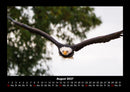 Adler Fotokalender 2027 - 8