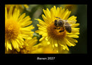 Bienen Fotokalender 2027 - Hauptbild