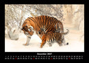 Tiger Fotokalender 2027 - 12