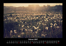 Blumenkalender Fotokalender 2027 - 2