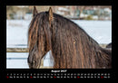 Pferdegeflüster Fotokalender 2027 - 8
