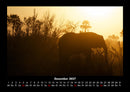 Elefanten Fotokalender 2027 - 12
