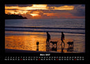 Hunde Kalender Fotokalender 2027 - 3