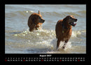 Hunde Kalender Fotokalender 2027 - 8