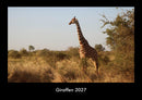 Giraffen Fotokalender 2027 - Hauptbild