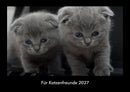 Für Katzenfreunde Fotokalender 2027 - Hauptbild
