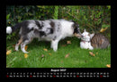 Für Katzenfreunde Fotokalender 2027 - 8