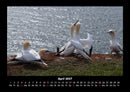 Seeblick Fotokalender 2027 - 4